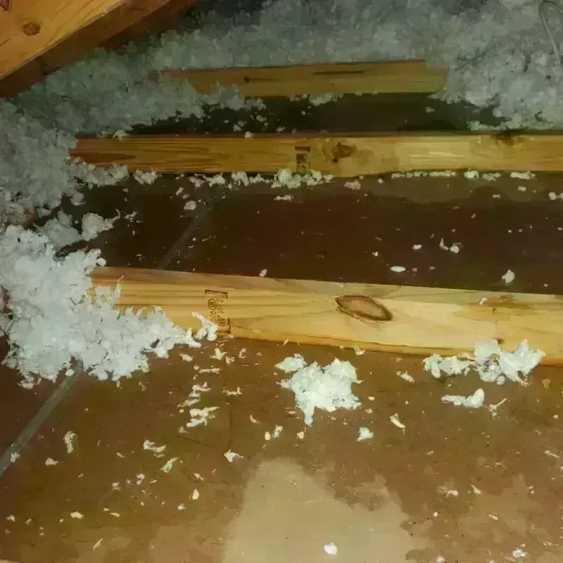 Attic Water Damage in Rockdale, IL