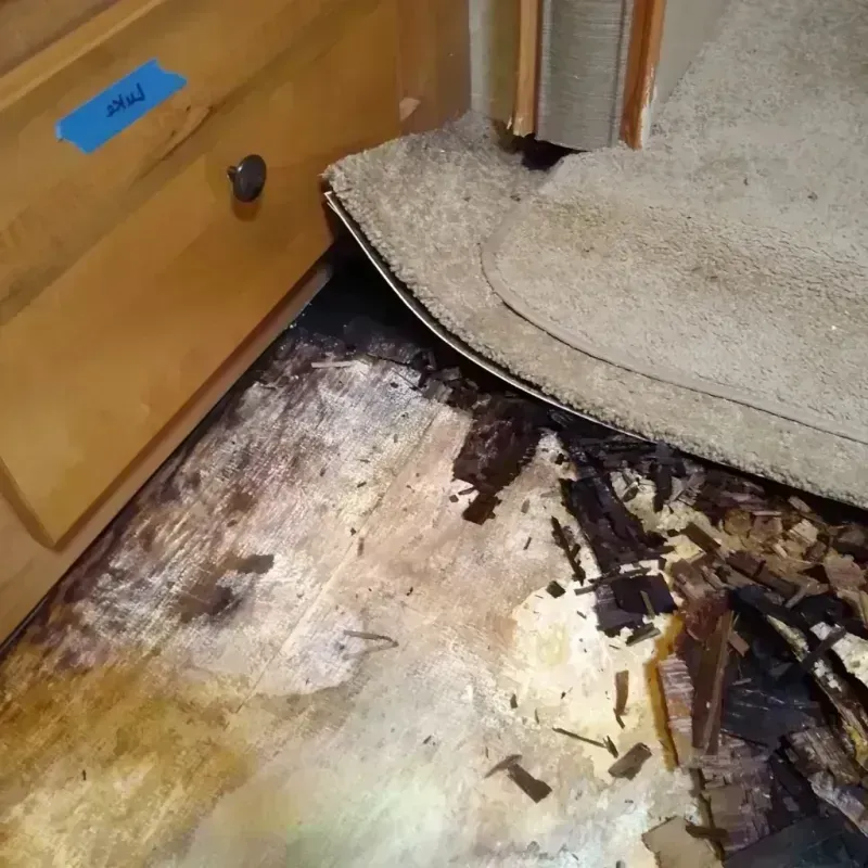 Wood Floor Water Damage in Rockdale, IL